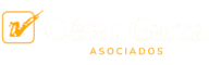 César Garza y Asociados